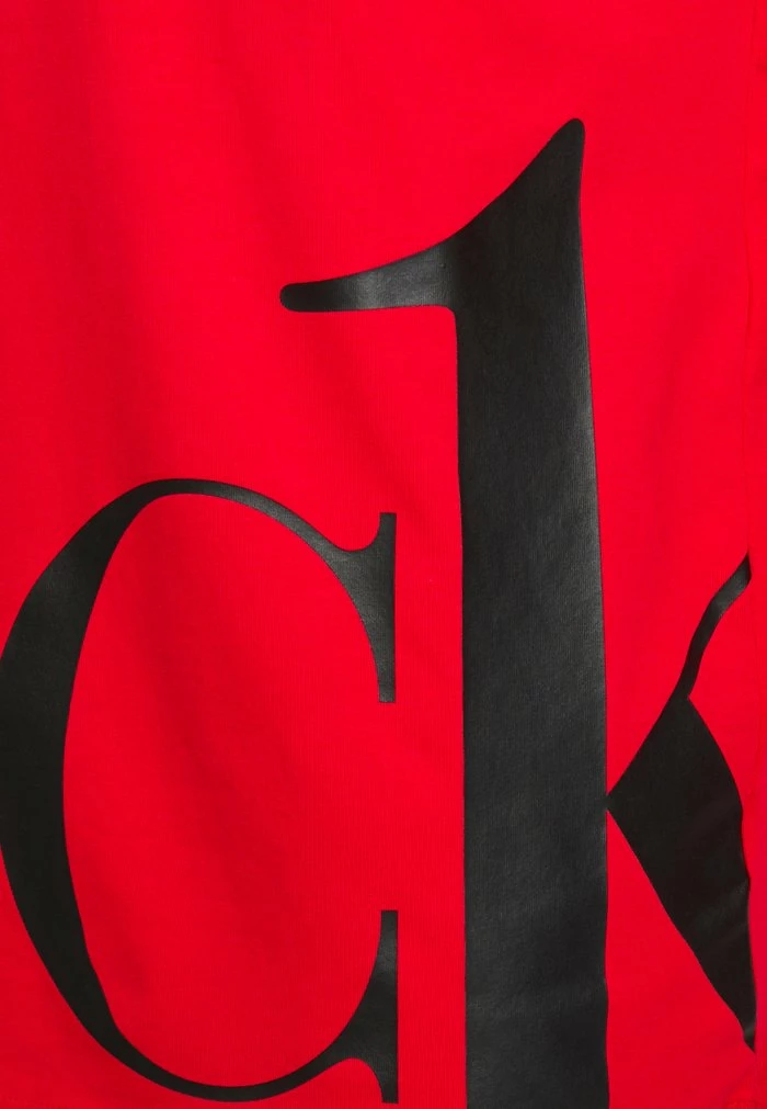 Calvin Klein Underwear GRAPHIC TEES CREW NECK - Pyjama Top - Red - Image 3