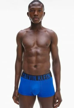 Calvin Klein Underwear INTENSE POWER TRUNK 2 PACK - Pants - Providence Blue/ New Slate